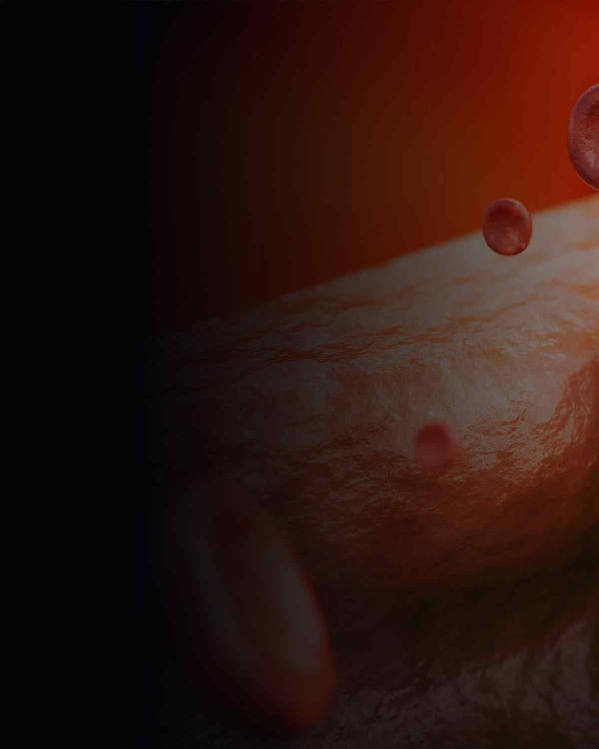 https://www.maxcaremedicalcentre.com.au/wp-content/uploads/2021/08/interactive_image_left.jpg