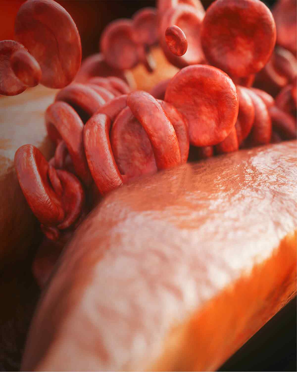 https://www.maxcaremedicalcentre.com.au/wp-content/uploads/2021/08/interactive_image_right.jpg